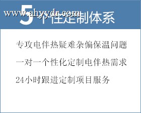 个体定制体系